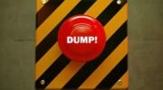 The SNL dump delay button