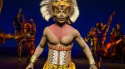 Simba Looks Out For Trouble at The Lion King on Broadway