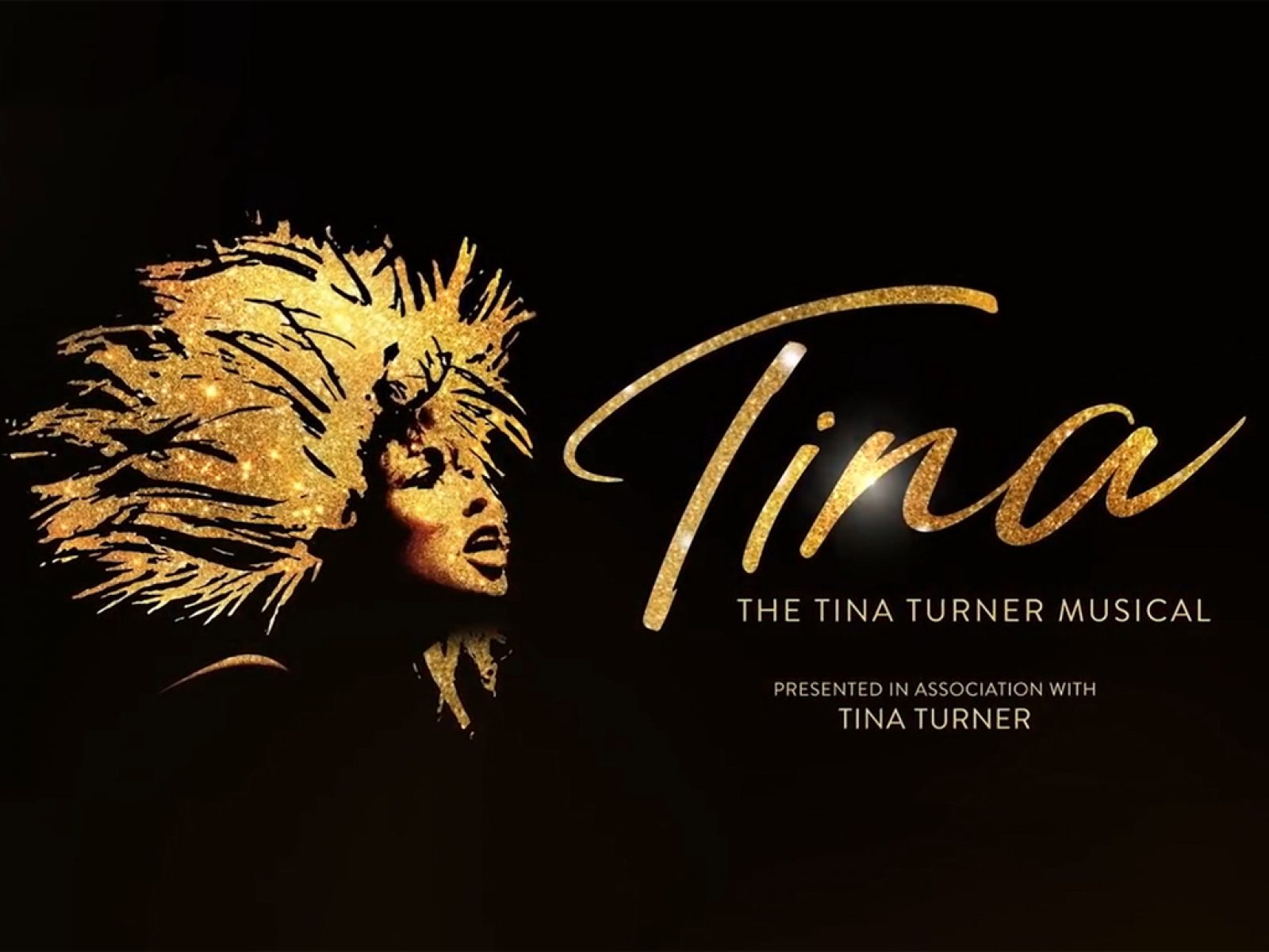 Tina: The Tina Turner Musical Discount Broadway Tickets Including ...