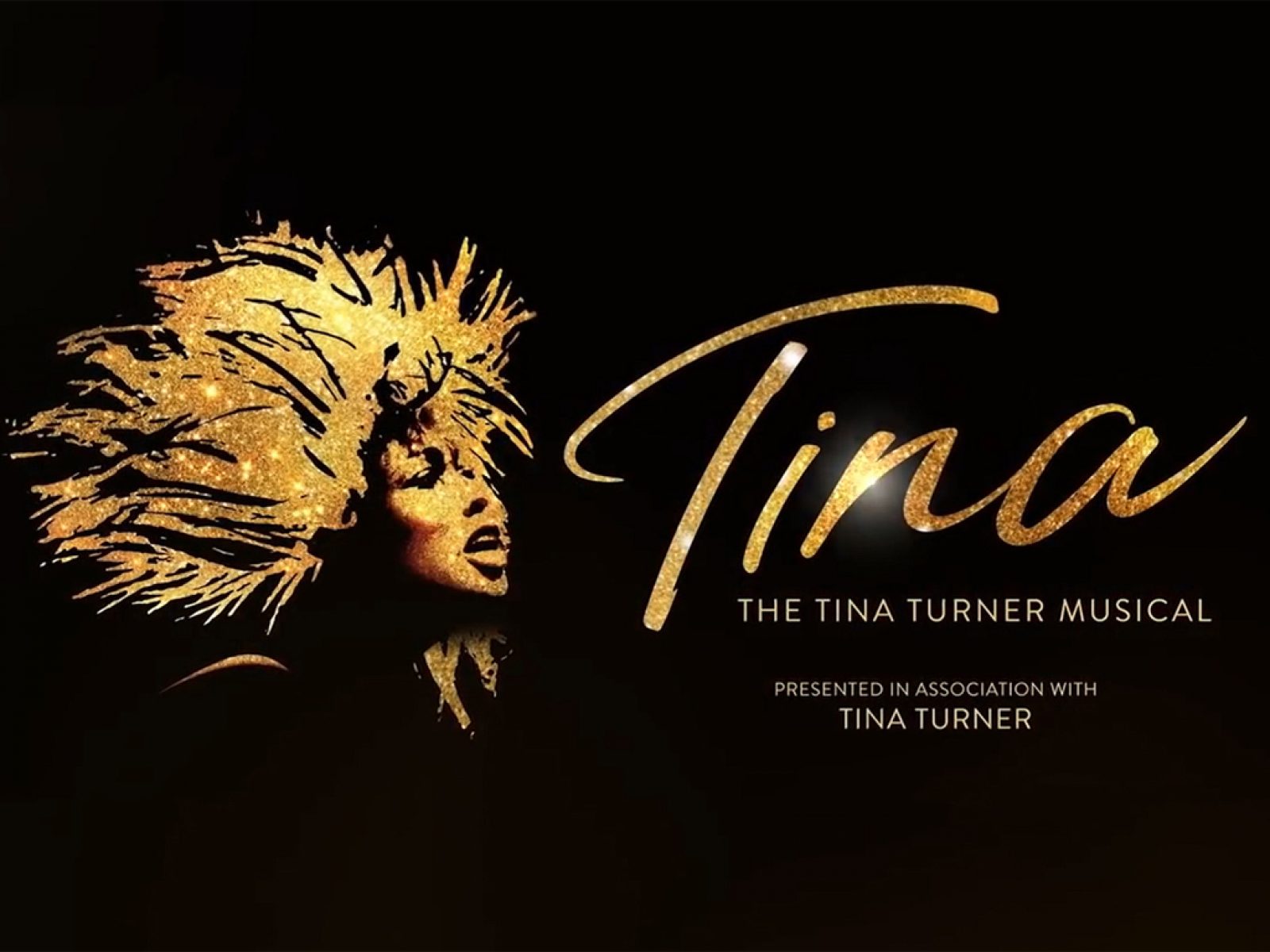 Tina The Tina Turner Musical Discount Broadway Tickets Including