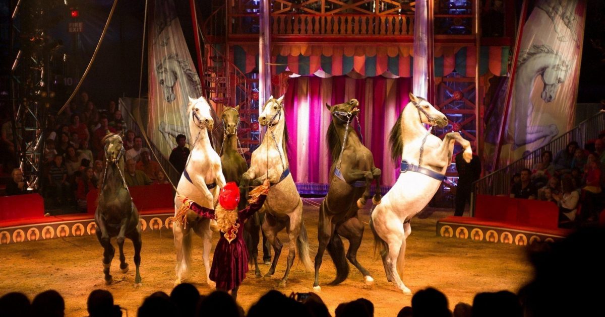 Big Apple Circus Discount Tickets