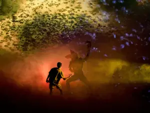 Stranger Things: The First Shadow Offers Discount Tickets At Box Office Opening