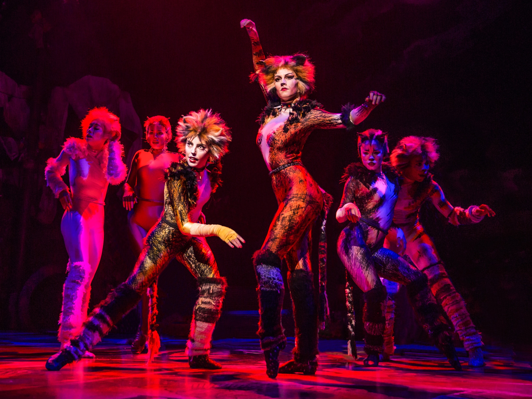 “Cats” Revival Closes This Week After 17 Months