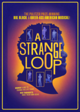 A strange loop poster2 Poster