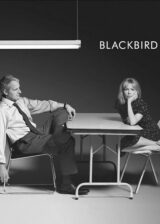 Blackbird Poster 400X560 Poster