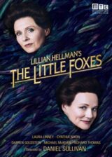 Littlefoxes Poster Poster