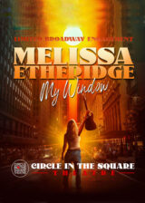 Melissa Etheridge my window poster Poster