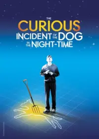 The Curious Incident of the Dog in the Night-Time Tickets