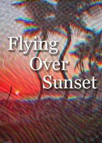 Flying Over Sunset Show Poster