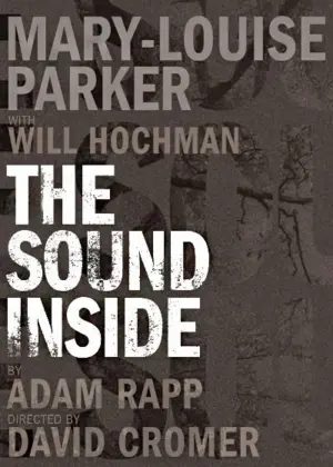 The Sound Inside Poster