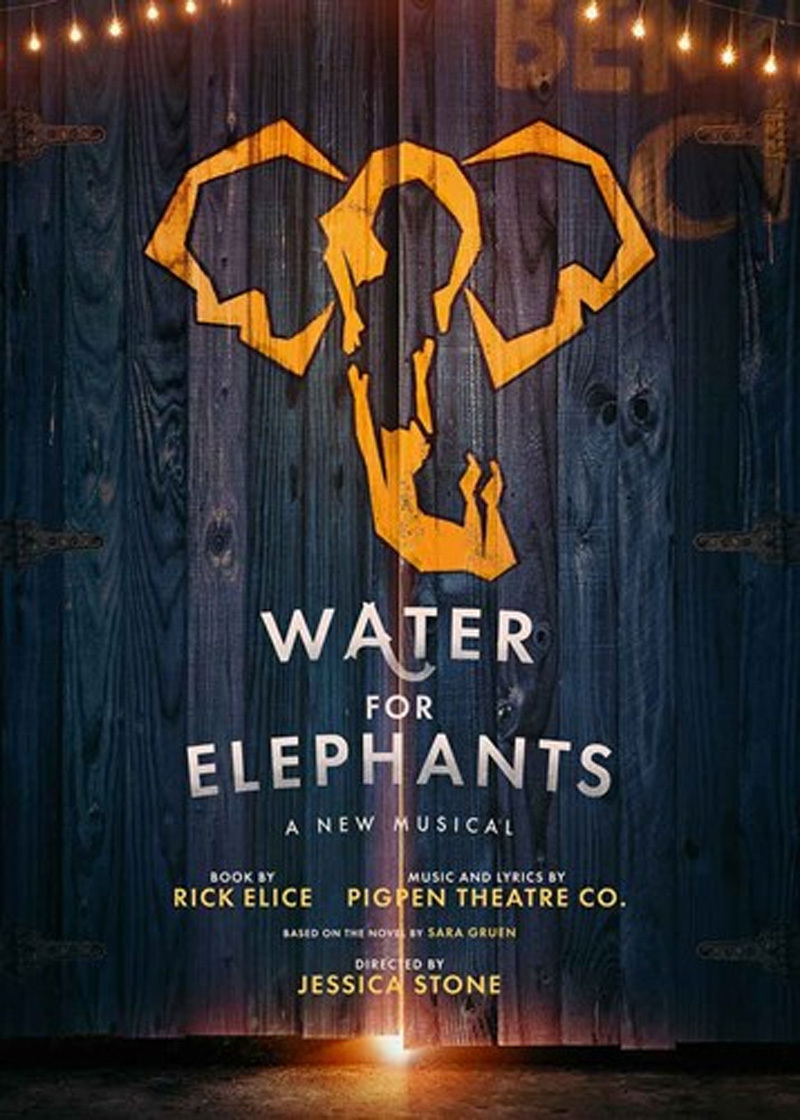 Water For Elephants Poster