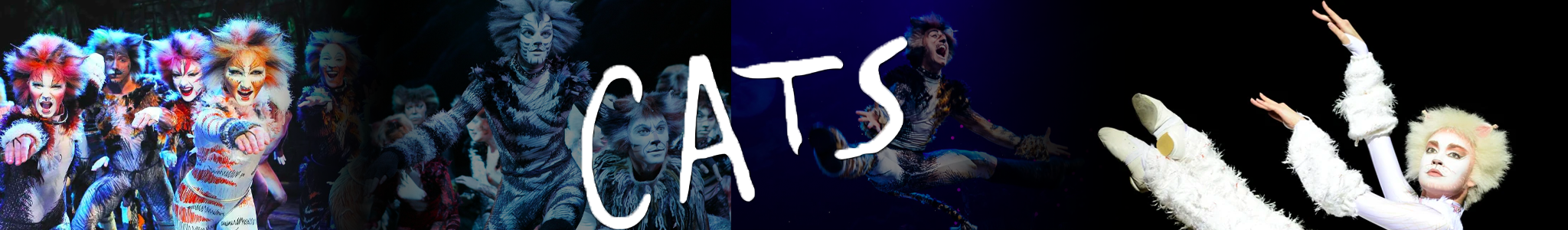 Cats Broadway Show