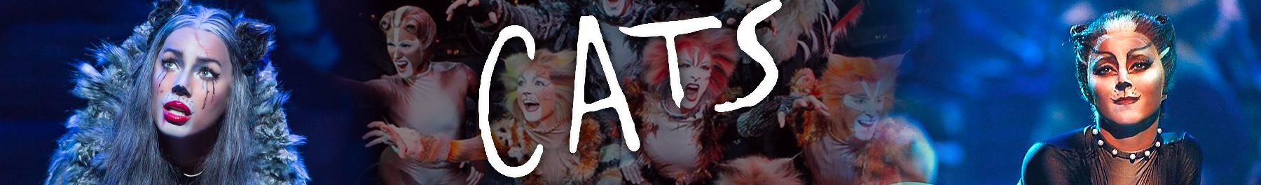 Cats Broadway Show