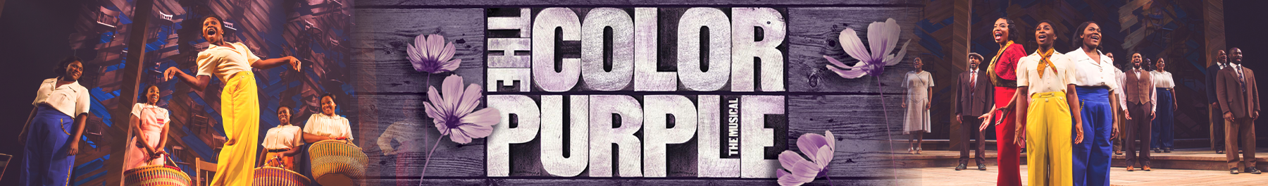 The Color Purple Broadway Show