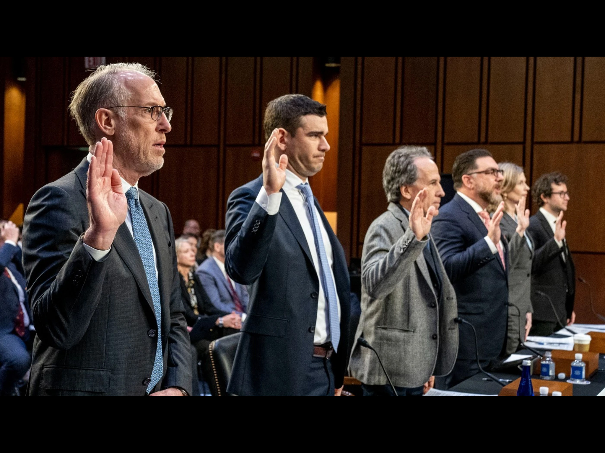 Ticketmaster at Senatorial Hearings